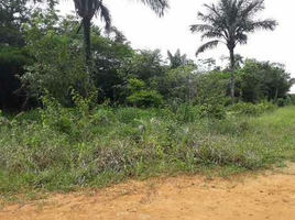  Grundstück zu verkaufen in Silves, Amazonas, Silves