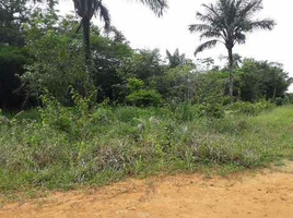  Land for sale in Amazonas, Silves, Silves, Amazonas