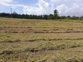  Land for sale in Takua Pa, Phangnga, Bang Muang, Takua Pa