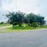  Land for sale in Pococi, Limon, Pococi