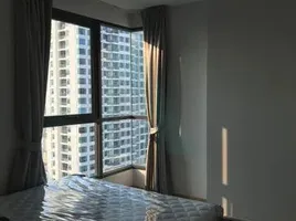 2 Bedroom Condo for rent at Ideo Q Ratchathewi, Thanon Phaya Thai