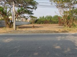  Land for sale in Kanchanaburi, Pak Phraek, Mueang Kanchanaburi, Kanchanaburi