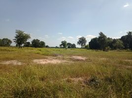  Land for sale in Khon Kaen, Pho Chai, Khok Pho Chai, Khon Kaen