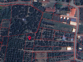  Land for sale in Nong Faek, Saraphi, Nong Faek