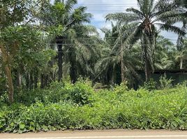  Grundstück zu verkaufen in Bo Rai, Trat, Nong Bon