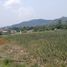  Land for sale in Thailand, Bang Sare, Sattahip, Chon Buri, Thailand