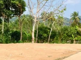  Land for sale in Ko Chang, Trat, Ko Chang, Ko Chang