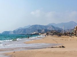  Land for sale at Dibba Al Fujairah, Suburbia