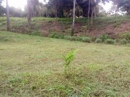  Land for sale in Hang Dong, Chiang Mai, Nam Phrae, Hang Dong