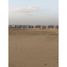  Land for sale at Bait Al Watan Al Takmely, Northern Expansions, 6 October City, Giza, Egypt
