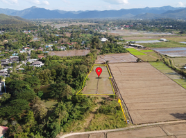  Land for sale in Rong Wua Daeng, San Kamphaeng, Rong Wua Daeng