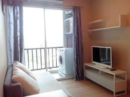 1 Bedroom Condo for rent at One Plus Huay Kaew, Chang Phueak