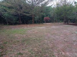  Land for sale in Na Di, Prachin Buri, Na Di, Na Di