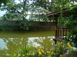 2 Schlafzimmer Haus zu verkaufen in Mae Lao, Chiang Rai, Pa Ko Dam, Mae Lao