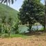  Grundstück zu verkaufen in Hoa Vang, Da Nang, Hoa Lien, Hoa Vang, Da Nang, Vietnam