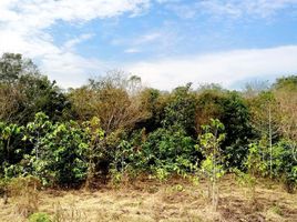  Land for sale in Nakhon Ratchasima, Sikhio, Nakhon Ratchasima