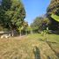  Land for sale in Rop Wiang, Chiang Rai, Rop Wiang