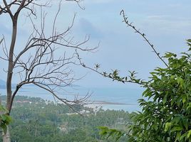  Grundstück zu verkaufen in Koh Samui, Surat Thani, Maret