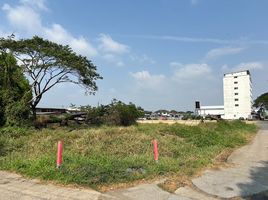  Land for sale in Bangkok, Bang Chak, Phra Khanong, Bangkok