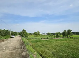 ขายที่ดิน ใน พระนครศรีอยุธยา พระนครศรีอยุธยา, บ้านเกาะ, พระนครศรีอยุธยา, พระนครศรีอยุธยา