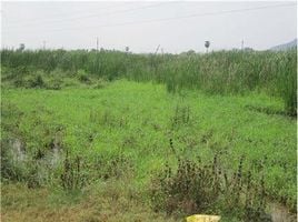  Land for sale in India, Gannavaram, Krishna, Andhra Pradesh, India