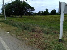  Grundstück zu verkaufen in Phu Kradueng, Loei, Phu Kradueng, Phu Kradueng, Loei