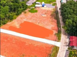  Grundstück zu verkaufen in Wiang Sa, Surat Thani, Ban Song, Wiang Sa