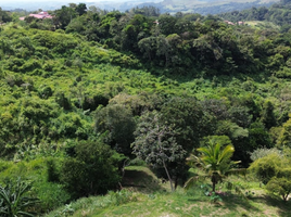  Land for sale in Ferricentro San Carlos, San Carlos, San Carlos