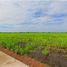  Land for sale in Thep Nakhon, Mueang Kamphaeng Phet, Thep Nakhon