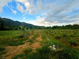  Grundstück zu verkaufen in Sai Yok, Kanchanaburi, Lum Sum, Sai Yok
