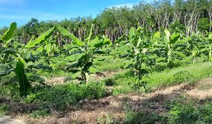 Земельный участок, N/A на продажу в Lan Khoi, Phatthalung 