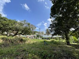  Land for sale in Big Buddha, Bo Phut, Bo Phut