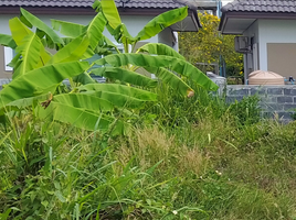  Grundstück zu verkaufen in Pluak Daeng, Rayong, Pluak Daeng, Pluak Daeng