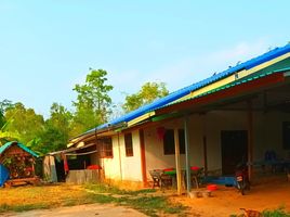 3 Schlafzimmer Haus zu verkaufen in Changhan, Roi Et, Changhan