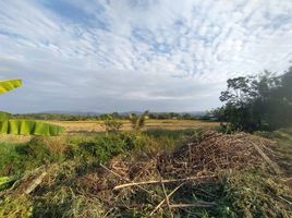  Land for sale in Chiang Rai, Bua Sali, Mae Lao, Chiang Rai