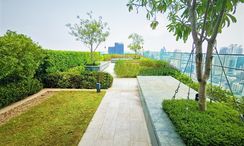 Photo 3 of the Communal Garden Area at Q1 Sukhumvit