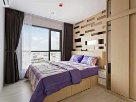 1 Schlafzimmer Wohnung zu vermieten im Life Sukhumvit 48, Phra Khanong, Khlong Toei