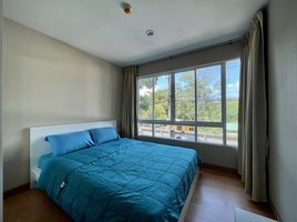 1 Schlafzimmer Wohnung zu verkaufen im Plus Condo 2, Kathu, Kathu