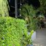 1 Bedroom Retail space for rent in Choeng Thale, Phuket, Choeng Thale, Thalang, Phuket