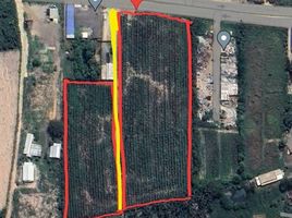  Grundstück zu verkaufen in Phanat Nikhom, Chon Buri, Na Roek, Phanat Nikhom
