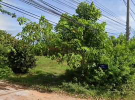  Grundstück zu verkaufen in Mueang Phatthalung, Phatthalung, Khuan Maphrao