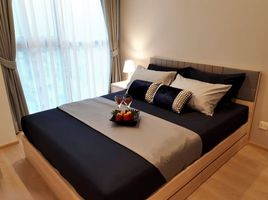 1 Schlafzimmer Wohnung zu vermieten im Noble Revolve Ratchada, Huai Khwang, Huai Khwang