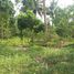  Land for sale in Surat Thani, Bo Phut, Koh Samui, Surat Thani