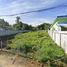  Land for sale in Thalang, Phuket, Si Sunthon, Thalang