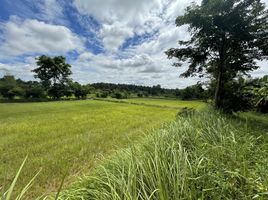  Grundstück zu verkaufen in Mueang Kalasin, Kalasin, Phu Po