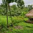  Grundstück zu verkaufen in Gianyar, Bali, Tampak Siring, Gianyar, Bali, Indonesien