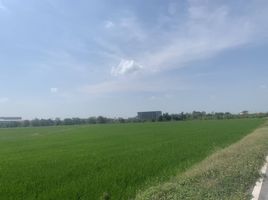  Grundstück zu verkaufen in Bang Bua Thong, Nonthaburi, Lahan