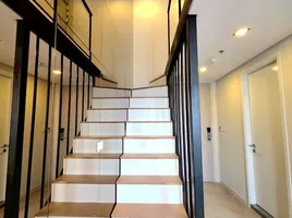 คอนโด 1 ห้องนอน ให้เช่า ในโครงการ รามาดา พลาซ่า บาย วินด์แฮม แบงคอก สุขุมวิท 48, พระโขนง