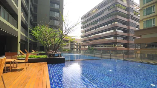 图片 1 of the Communal Pool at Noble Solo