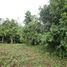  Land for sale in Pong Nam Ron, Pong Nam Ron, Pong Nam Ron